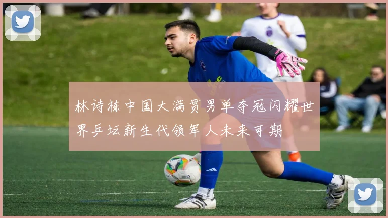 林诗栋中国大满贯男单夺冠闪耀世界乒坛新生代领军人未来可期