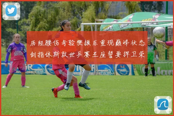 历经腰伤考验樊振东重现巅峰状态剑指休斯敦世乒赛王座誓要捍卫荣耀